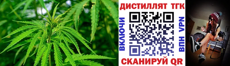 Дистиллят ТГК Wax  как найти закладки  Магас 
